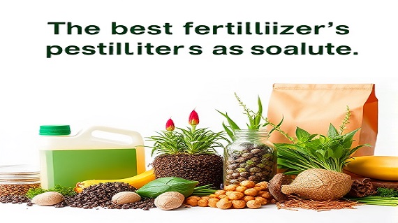 پیشنهاد ویژه خرید کودهای آلی